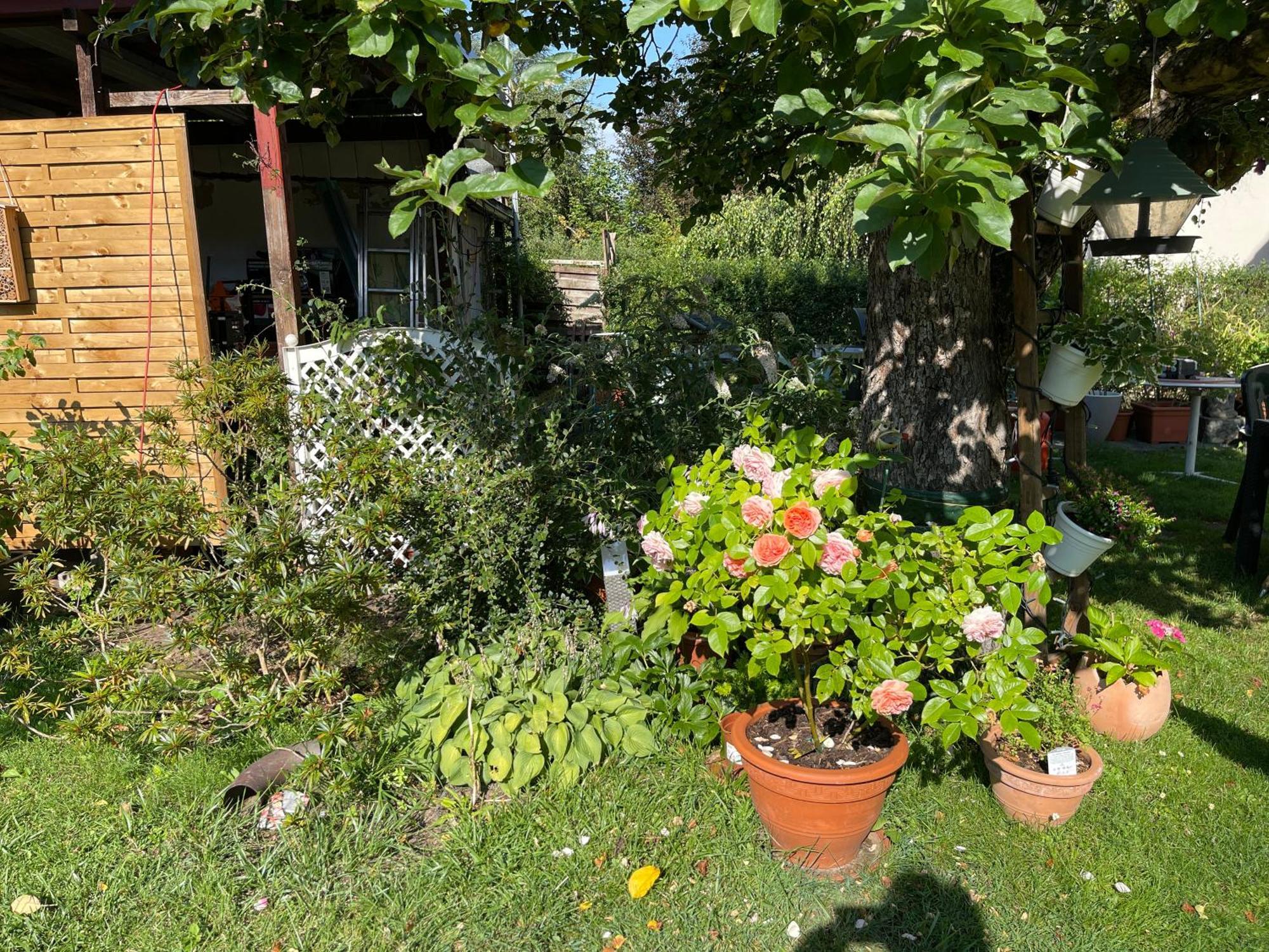 Gästezimmer mit Garten / 20 Minuten bis Messe Nürnberg Exterior foto